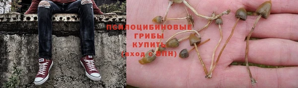 стафф Бронницы