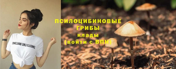 стафф Бронницы