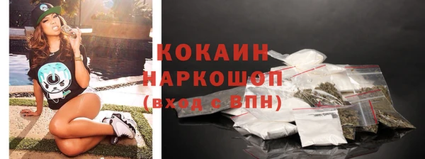 Альфа ПВП Бородино