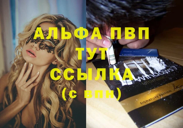 Альфа ПВП Бородино