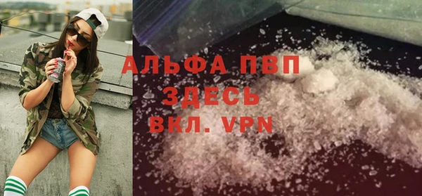 Альфа ПВП Бородино