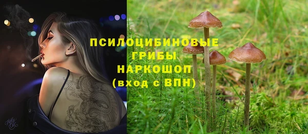 Альфа ПВП Бородино