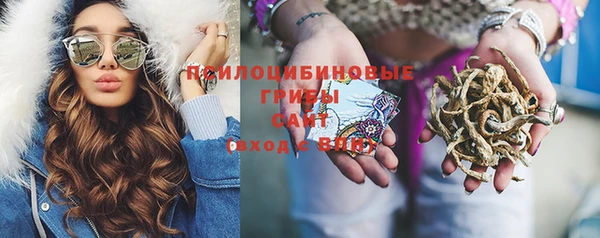 Альфа ПВП Бугульма