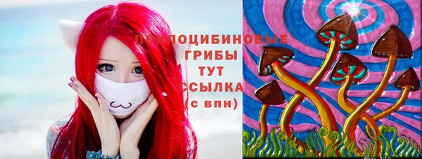 стафф Бронницы